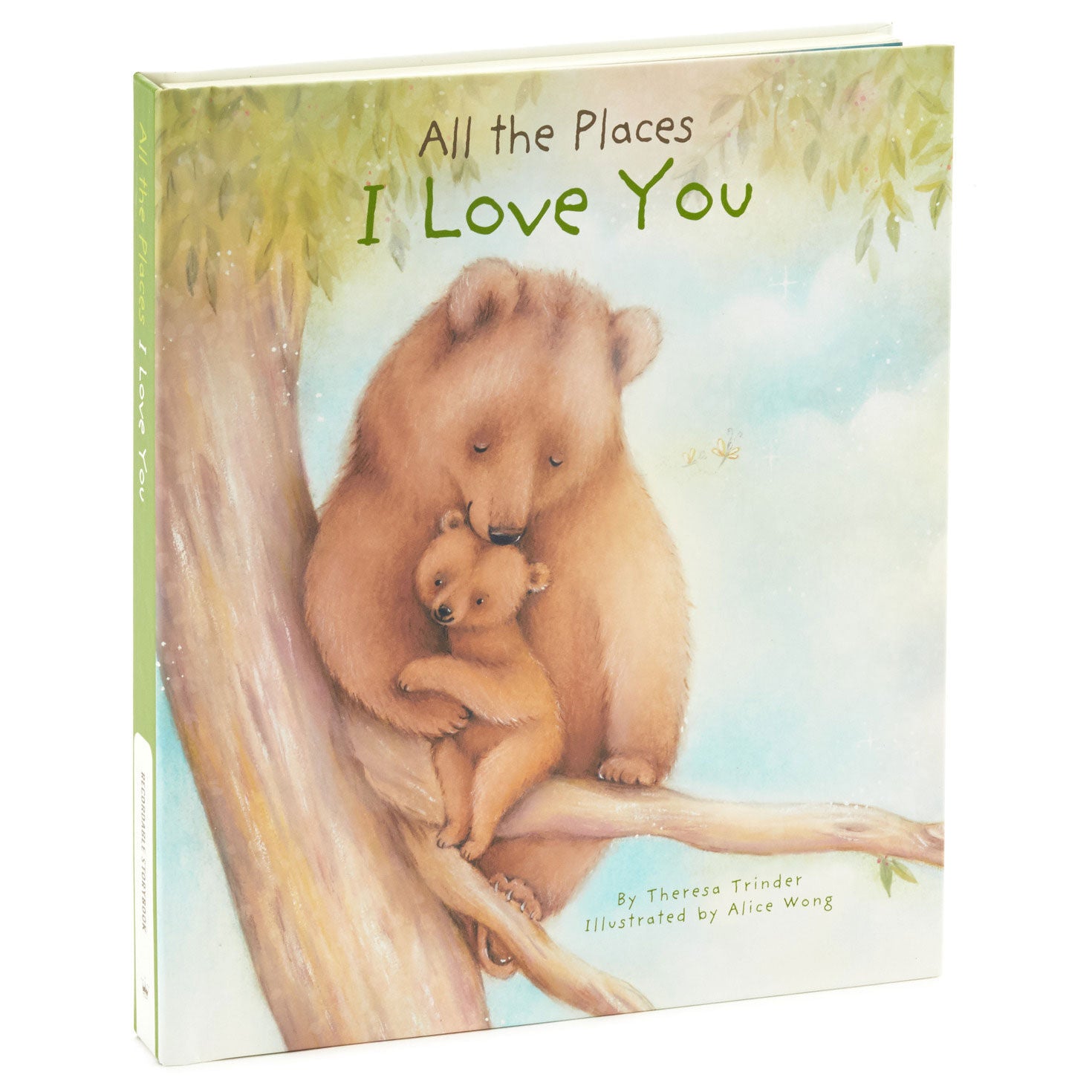 All The Places I Love You Recordable Storybook With Music